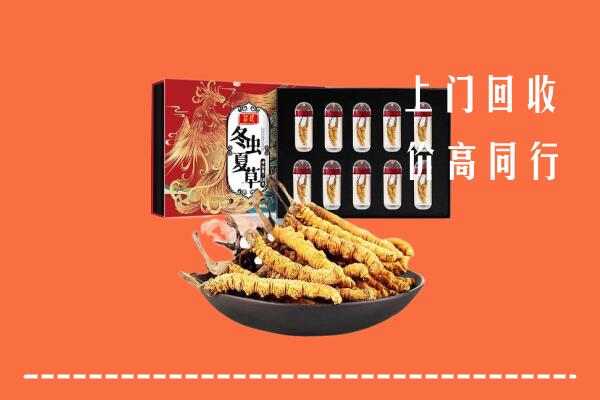 鼎湖区回收虫草